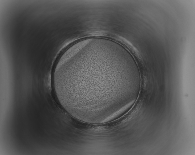 X0000101991174200808011055