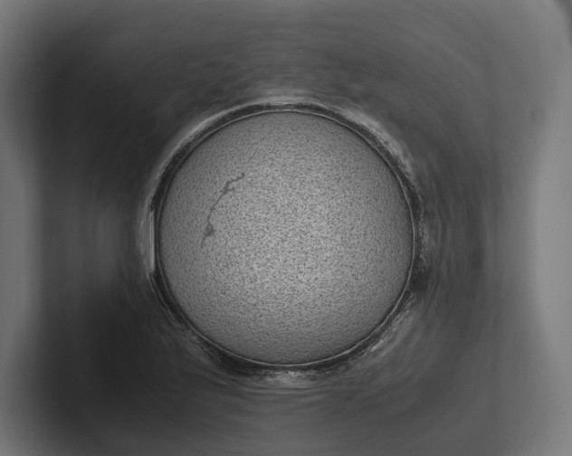 X0000101991175200808011055