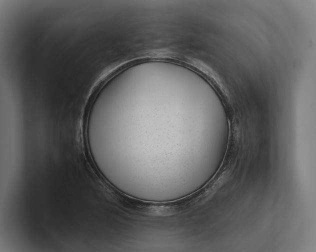 X0000101991176200808011055