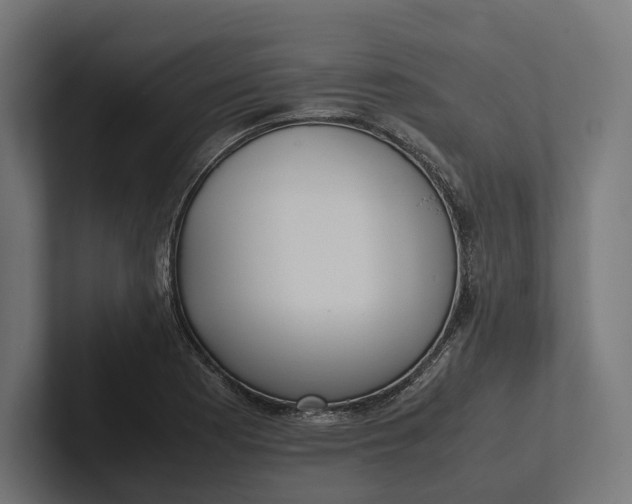 X0000101991177200808011055