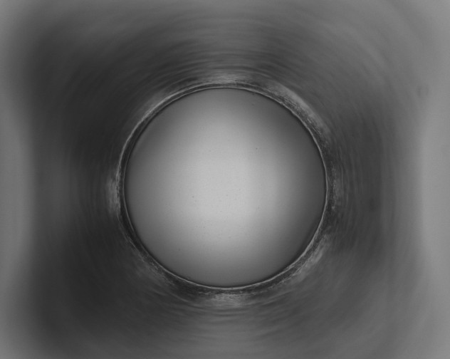 X0000101991178200808011055