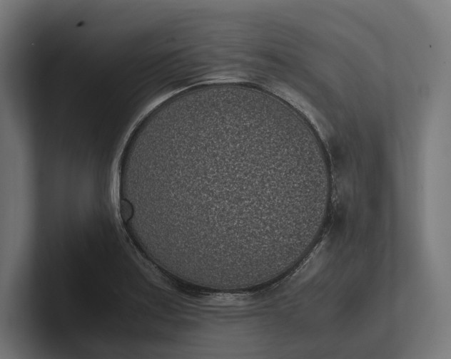 X0000101991179200808011055