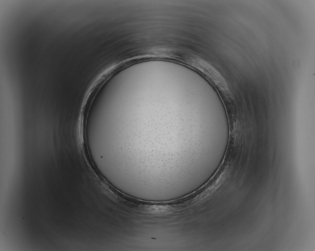 X0000101991180200808011055