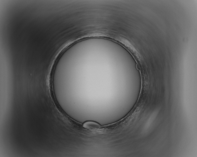 X0000101991181200808011055