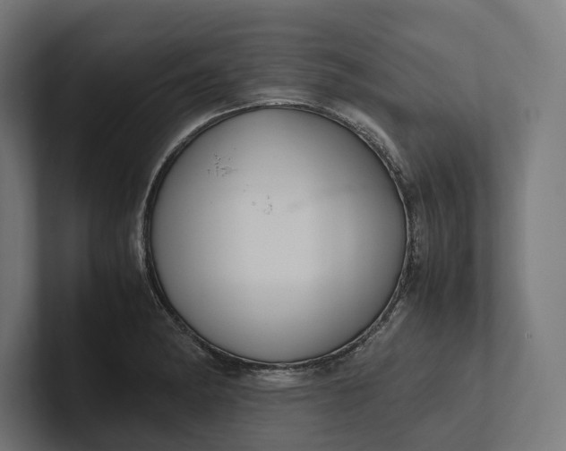 X0000101991182200808011055