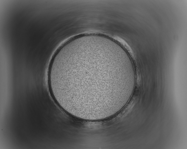 X0000101991183200808011055