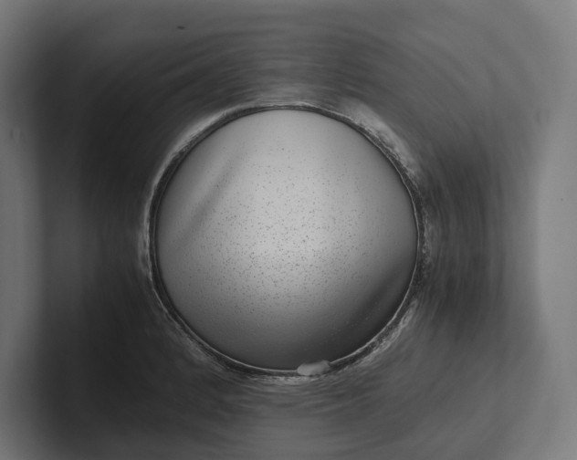 X0000101991184200808011055