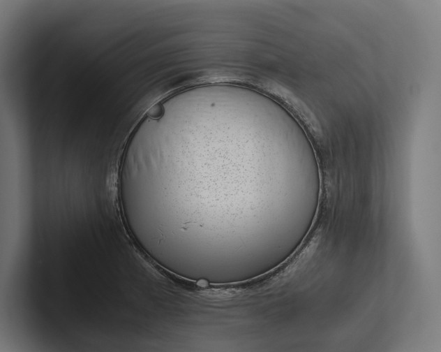 X0000101991185200808011055