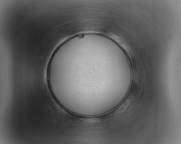 X0000101991189200808011055