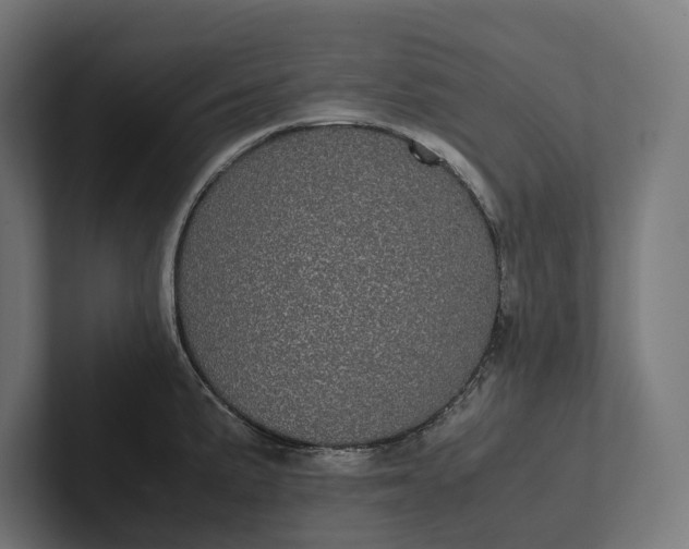 X0000101991191200808011055