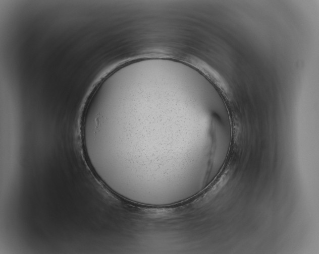 X0000101991192200808011055