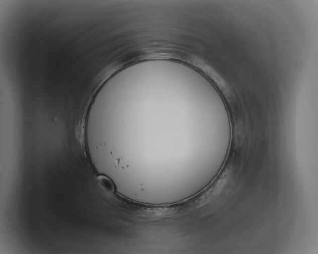 X0000101991193200808011055