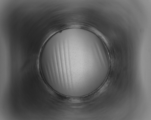 X0000101991194200808011055