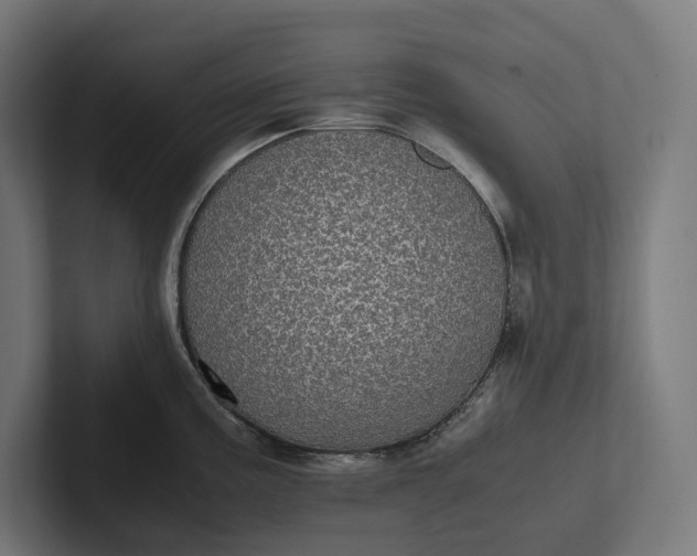 X0000101991195200808011055