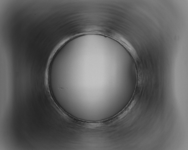 X0000101991196200808011055