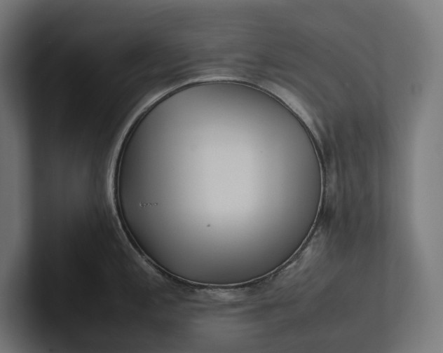 X0000101991197200808011055