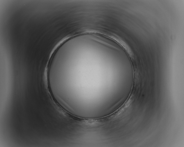 X0000101991198200808011055