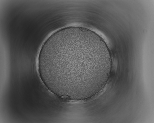 X0000101991199200808011055