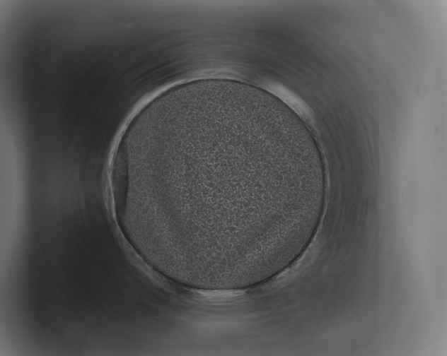 X0000101991200200808011055