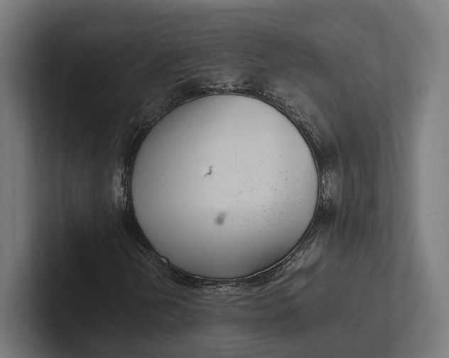 X0000101991202200808011054