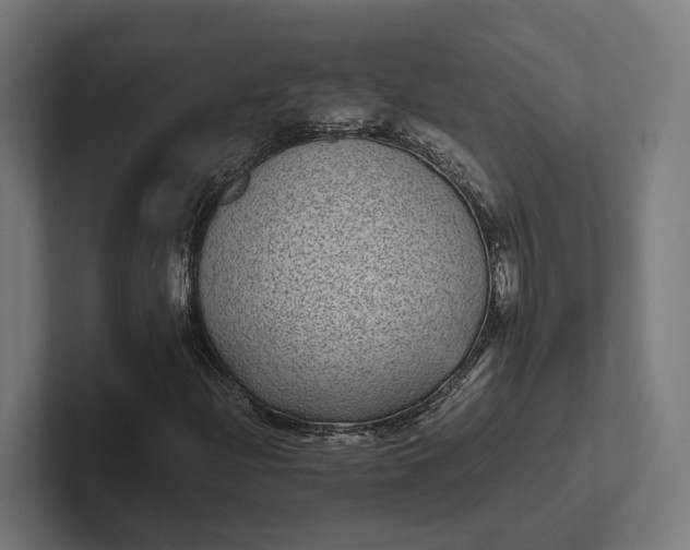 X0000101991204200808011054