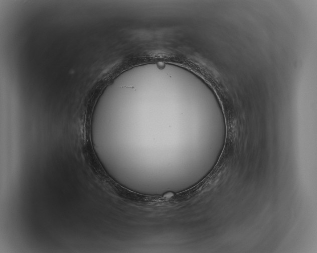 X0000101991205200808011054