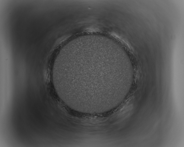 X0000101991207200808011054