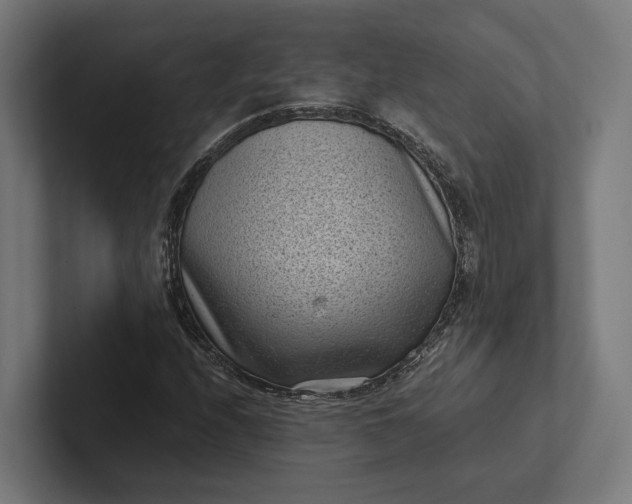 X0000101991208200808011054