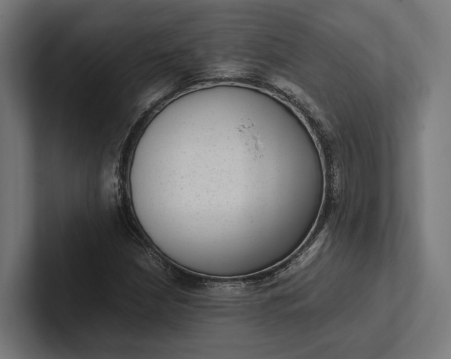 X0000101991210200808011054