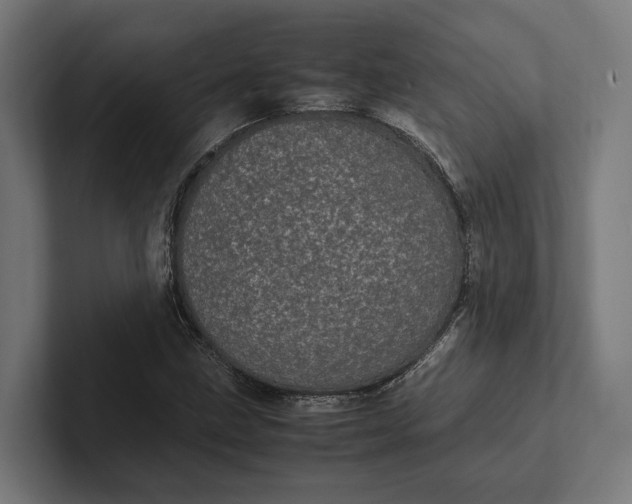 X0000101991211200808011054