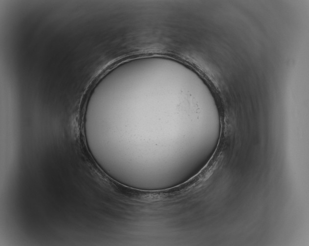 X0000101991212200808011054