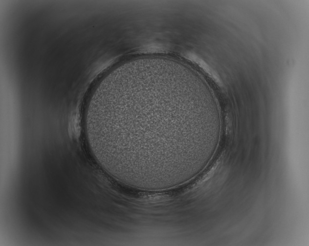 X0000101991213200808011054