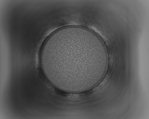 X0000101991215200808011054