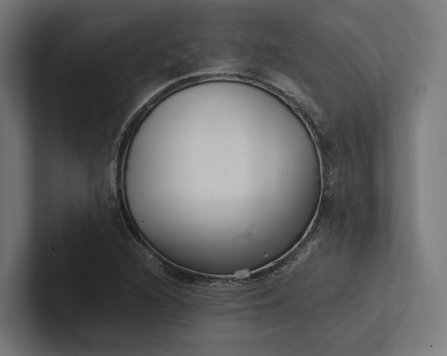 X0000101991216200808011054