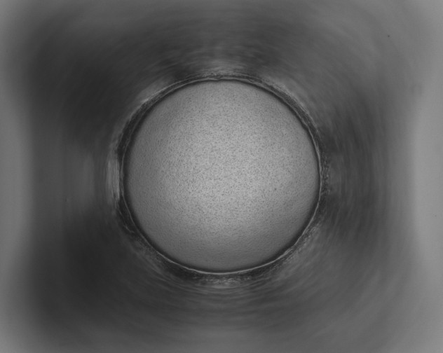 X0000101991219200808011054