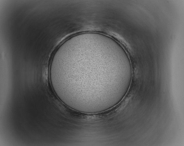 X0000101991220200808011054