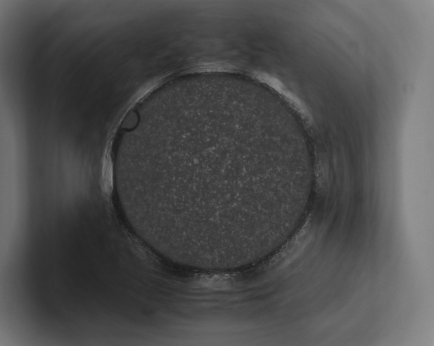 X0000101991221200808011054