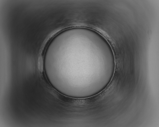 X0000101991223200808011054