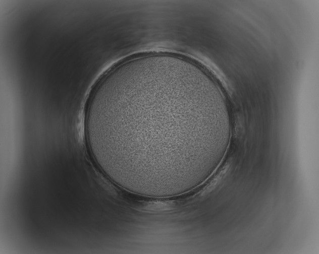 X0000101991224200808011054