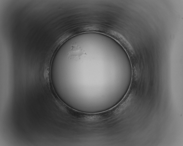 X0000101991225200808011054