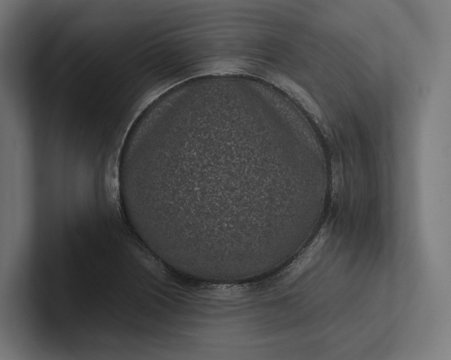 X0000101991226200808011054