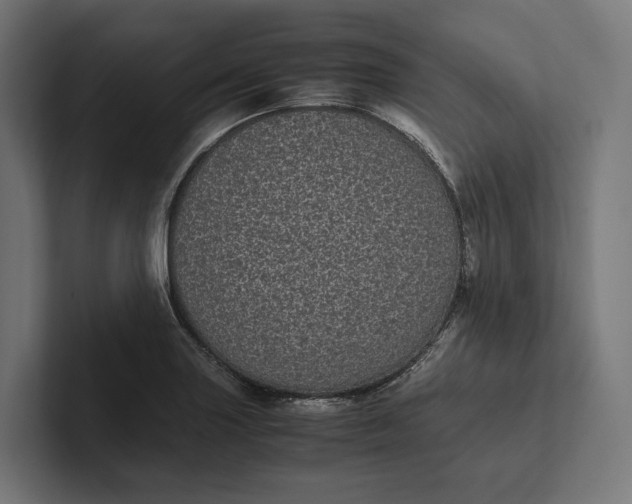 X0000101991227200808011054