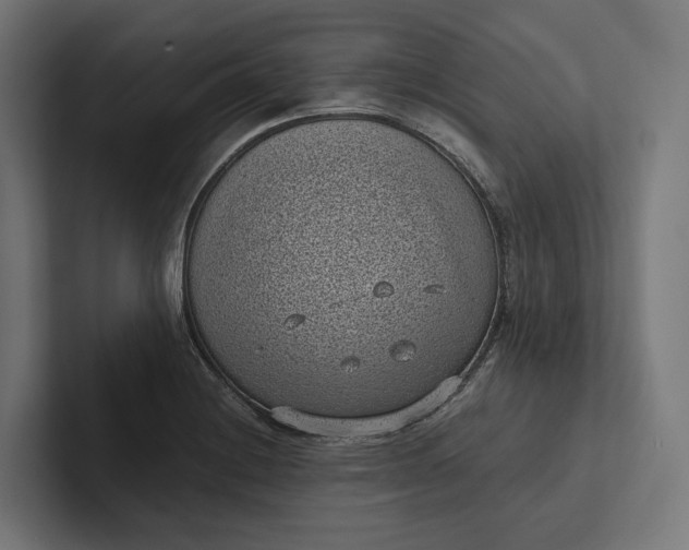 X0000101991228200808011054