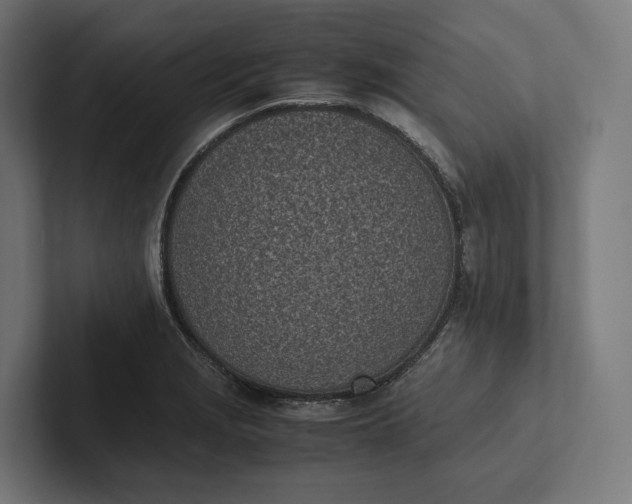 X0000101991229200808011054