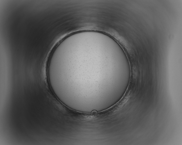 X0000101991230200808011054