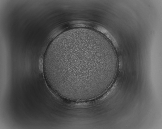 X0000101991233200808011054