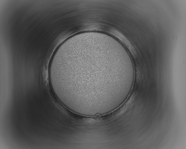 X0000101991234200808011054