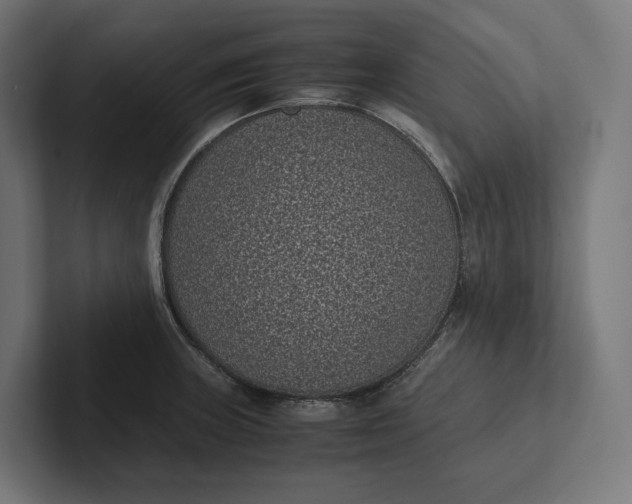 X0000101991235200808011054