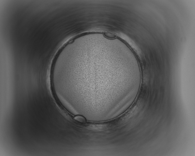 X0000101991237200808011054