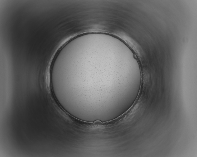 X0000101991238200808011054